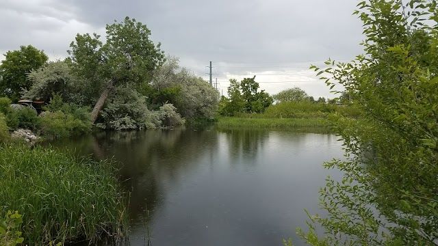 Gustav Swanson Natural Area